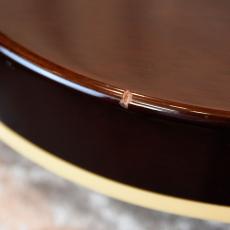 Guild Bluesbird_8