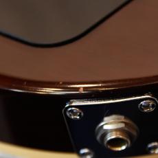 Guild Bluesbird_9