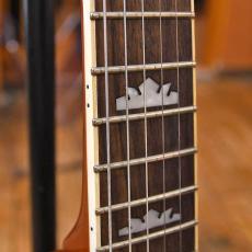Epiphone Nighthawk Custom Reissue_6