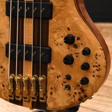 Ibanez BTB1605_5