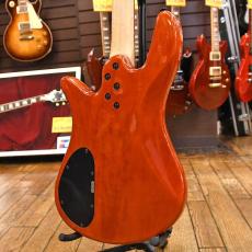 Spector Core4 Fretress_4