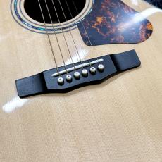 Morris F-LTD II NAT【日本製】【オール単板】_3