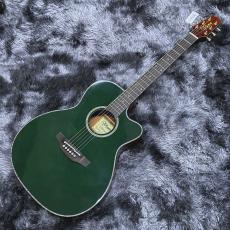 Takamine LTD2025 【限定モデル】【日本製】【エレアコ】_2