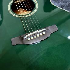 Takamine LTD2025 【限定モデル】【日本製】【エレアコ】_3