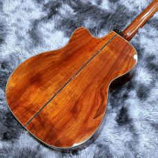 Takamine LTD2025 【限定モデル】【日本製】【エレアコ】_8