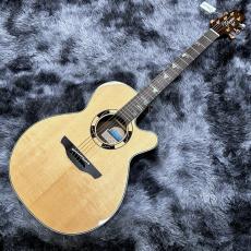 Takamine DSF48C -World Standard Series-【希少入荷!】【2025年製】【日本製】【エレアコ】_2