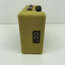 Fender Mini '57 Twin-Amp【現物画像】_4