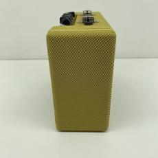 Fender Mini '57 Twin-Amp【現物画像】_5