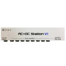 CUSTOM AUDIO JAPAN(CAJ) AC/DC Station VI