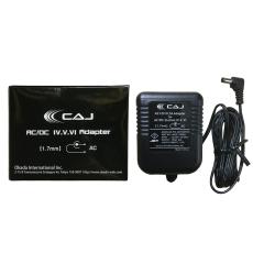 CUSTOM AUDIO JAPAN(CAJ) AC/DC Station VI_4