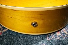 Archtop Tribute AT350_6