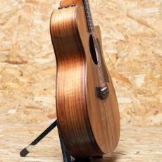 Taylor 722ce_4