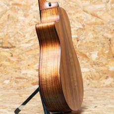 Taylor 722ce_5