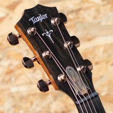 Taylor 722ce_8