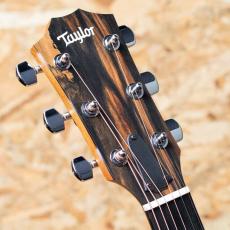 Taylor 212ce Walnut_8