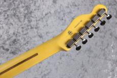 Fender FSR  American Professional Classic Telecaster / Mystic Ice Blue #US26039342 [3.40kg]_8