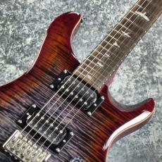 Paul Reed Smith [PRS] SE Custom 24 ~Ruby~ #CTI H021357 [3.55kg][2025年製]_2
