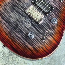 Paul Reed Smith [PRS] SE Custom 24 ~Ruby~ #CTI H021357 [3.55kg][2025年製]_4