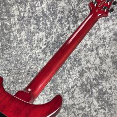 Paul Reed Smith [PRS] SE Custom 24 ~Ruby~ #CTI H021357 [3.55kg][2025年製]_8
