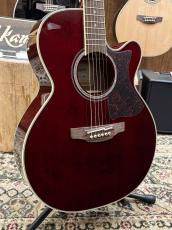 Takamine DMP551C WR #63080414【2026年製】【シダートップ】_3