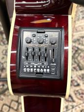 Takamine DMP551C WR #63080414【2026年製】【シダートップ】_4