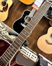 Takamine DMP551C WR #63080414【2026年製】【シダートップ】_5