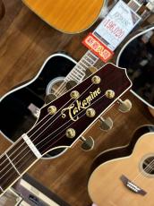 Takamine DMP551C WR #63080414【2026年製】【シダートップ】_6