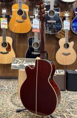 Takamine DMP551C WR #63080414【2026年製】【シダートップ】_7
