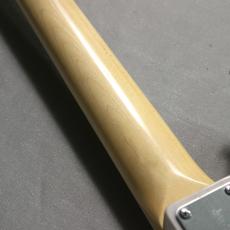 FUJIGEN NJB100MBAH-WB #J250045【Elixir弦プレゼント!】_7