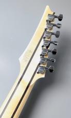 Ibanez HZK1  #F2618262【3.64kg】【Spalted Maple Top】【葉月(HAZUKI)Model】_9