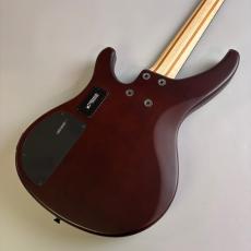 YAMAHA TRBX504_5