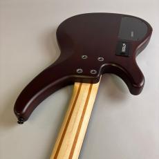 YAMAHA TRBX504_10