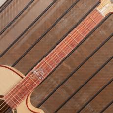 Water Road Guitars Watanabe Kazumi Model Curly White Ash -30th Anniversary-_7