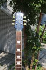 Epiphone LES PAUL STANDARD_3
