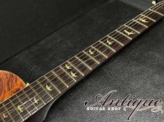 Paul Reed Smith [PRS] 20th Anniversary Artist Package Singlecut 2006 Tortoise Shell /Killer Quilted Maple Top & Dark Brazilian Rosewood FB 4.06kg "Dead Stock Mint Condition"_8
