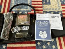 Pignose PGG-200  _9