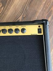 Guyatone TUBE MODEL10_3