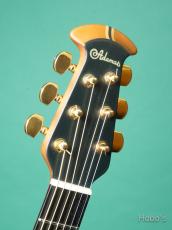 Ovation Adamas W597 PU標準装備 (Optima)_3