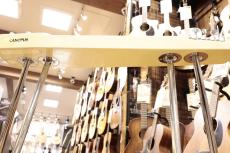 CANOPUS YS8S 【8弦】【脚付】【Special P.U】【日本総本店アコ】_7