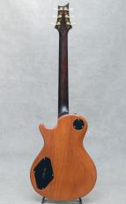 Paul Reed Smith [PRS] Singlecut Brazillian Rosewood Neck Limited 10Top Amber / 2001_4