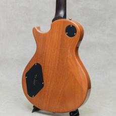 Paul Reed Smith [PRS] Singlecut Brazillian Rosewood Neck Limited 10Top Amber / 2001_6