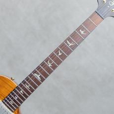 Paul Reed Smith [PRS] Singlecut Brazillian Rosewood Neck Limited 10Top Amber / 2001_7
