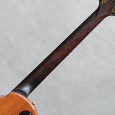 Paul Reed Smith [PRS] Singlecut Brazillian Rosewood Neck Limited 10Top Amber / 2001_8