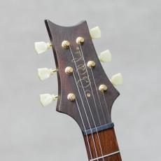 Paul Reed Smith [PRS] Singlecut Brazillian Rosewood Neck Limited 10Top Amber / 2001_9