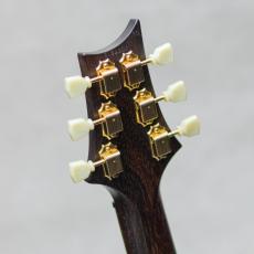 Paul Reed Smith [PRS] Singlecut Brazillian Rosewood Neck Limited 10Top Amber / 2001_10
