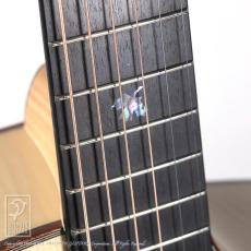 Dowina ACERO-GAC-SWS_12
