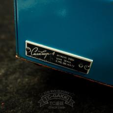 Spektr-4 Fuzz-Wah/Autowah_8