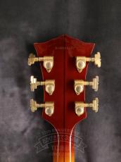 ARIA 2014 FA-BW Sunburst_7