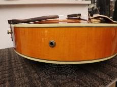 ARIA 2014 FA-BW Sunburst_11