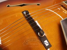 ARIA 2014 FA-BW Sunburst_14